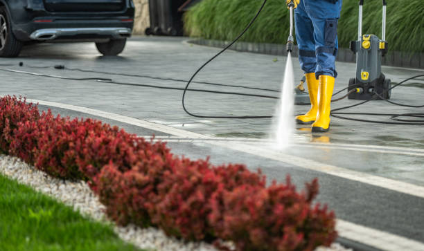 Reliable Springville, NY Pressure Washing Services Solutions